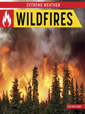 Wildfires